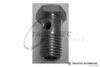 CHRYS 05080339AA Hollow Screw